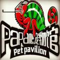 papa爬宠物馆～