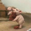 官生