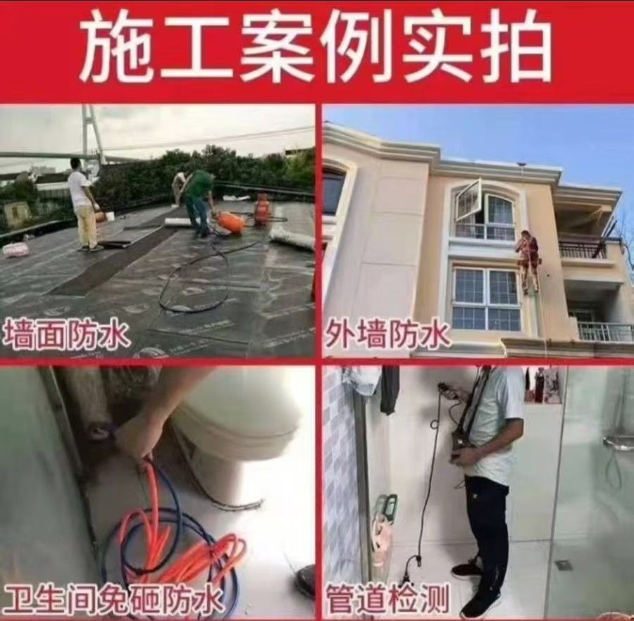 缩略图 6