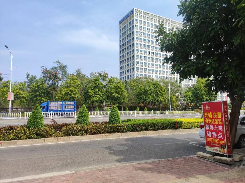 缩略图 3