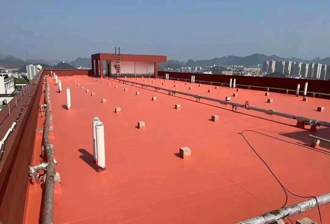 缩略图 2