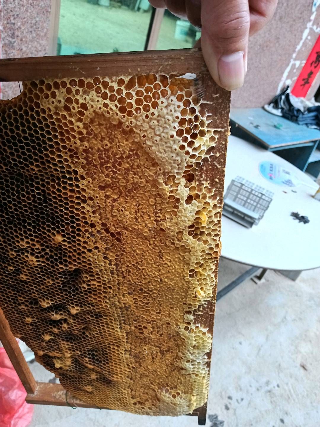 缩略图 5