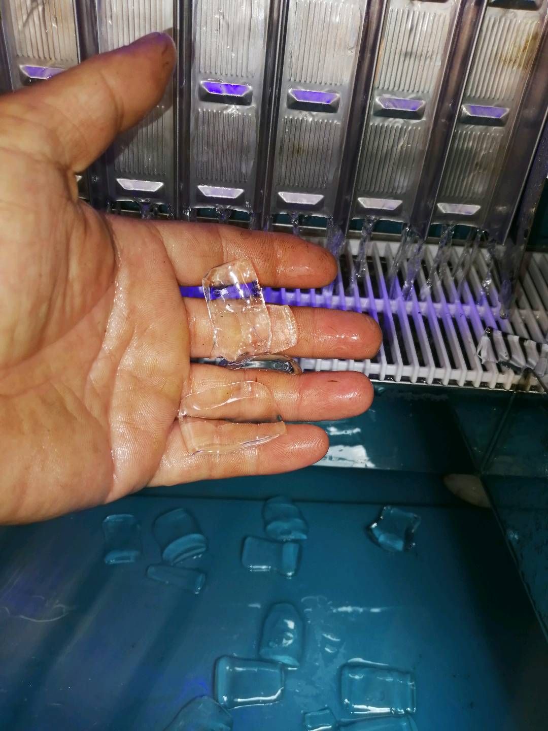 缩略图 4