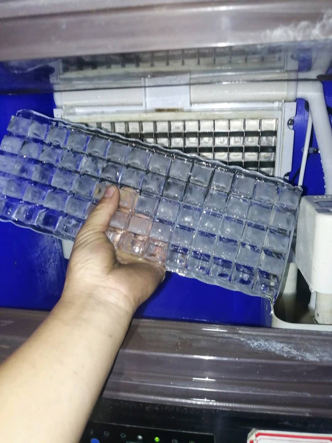 缩略图 3