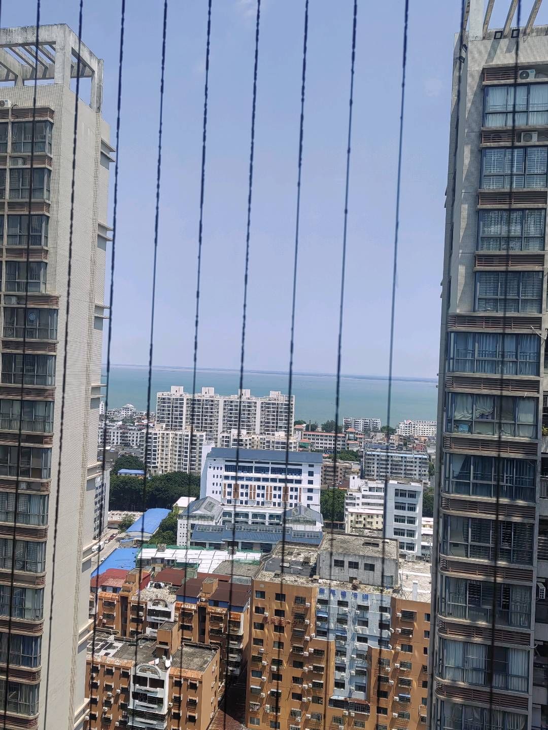 缩略图 6
