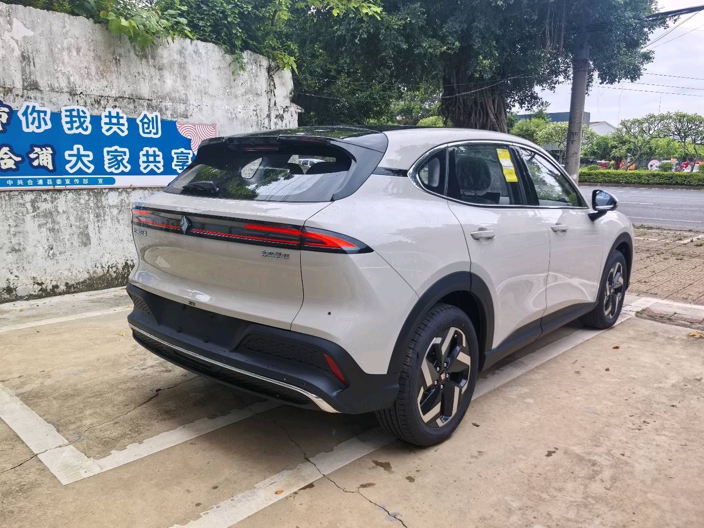 缩略图 4