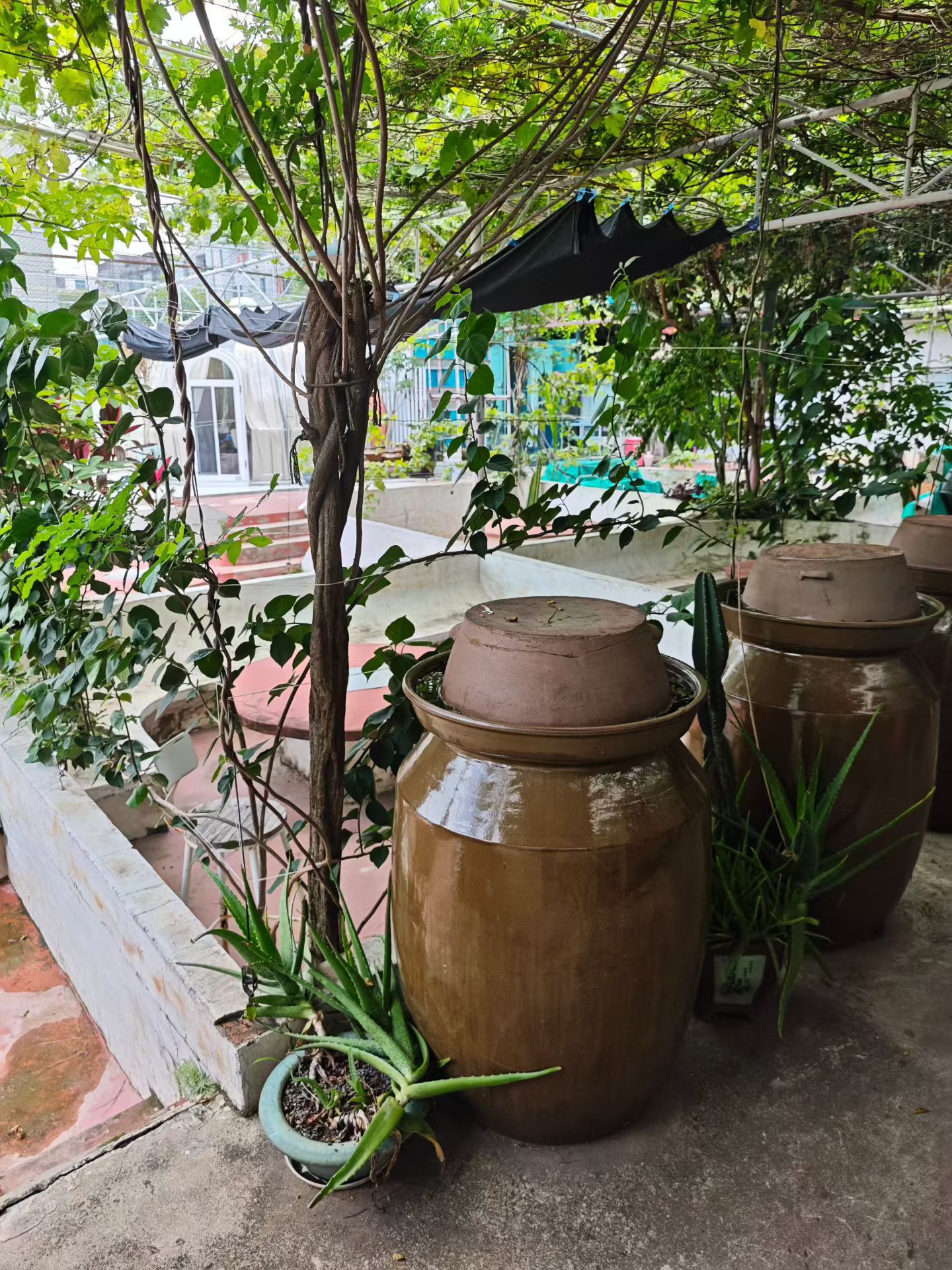 缩略图 9