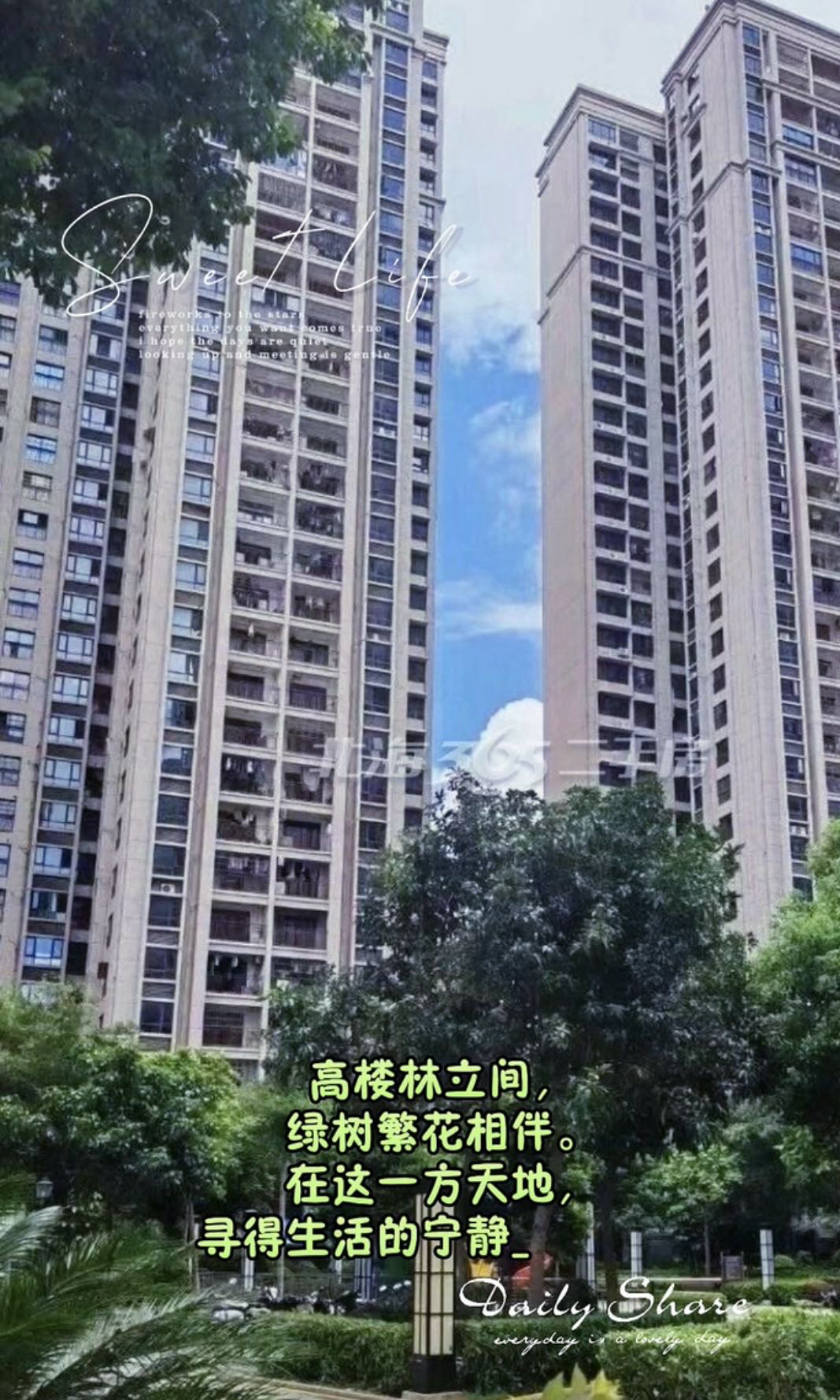 缩略图 4