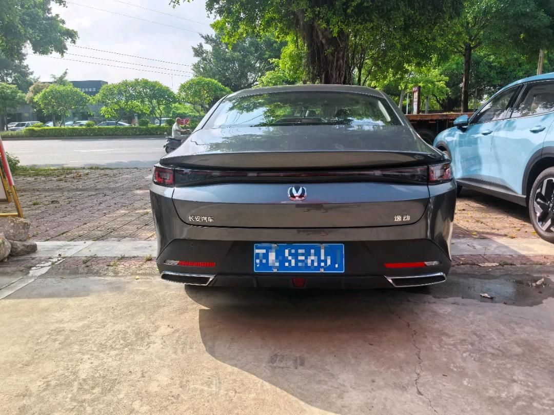 缩略图 5