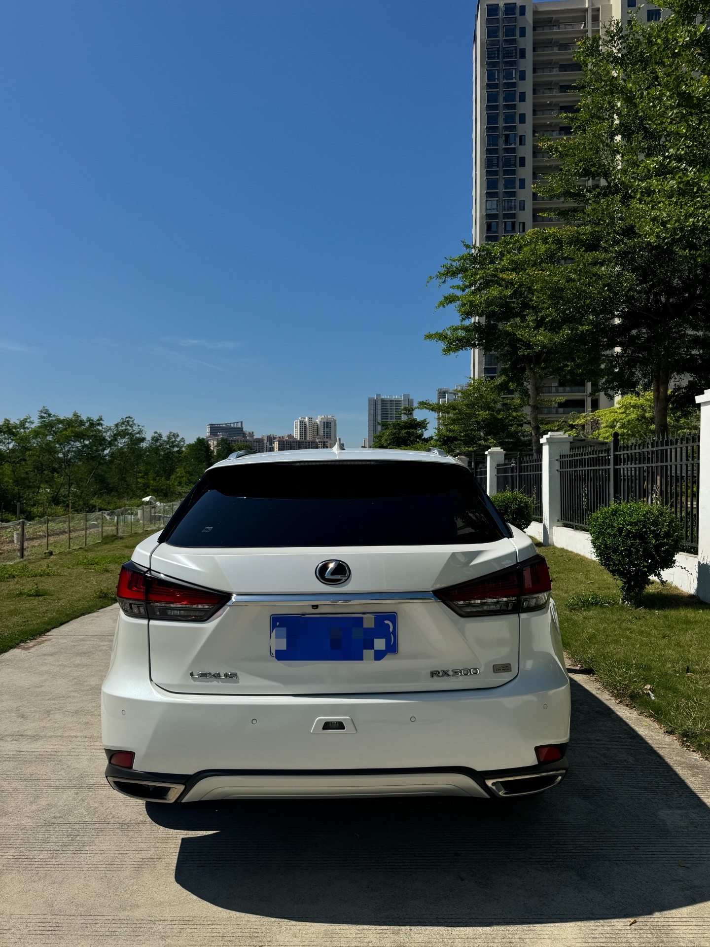 缩略图 5