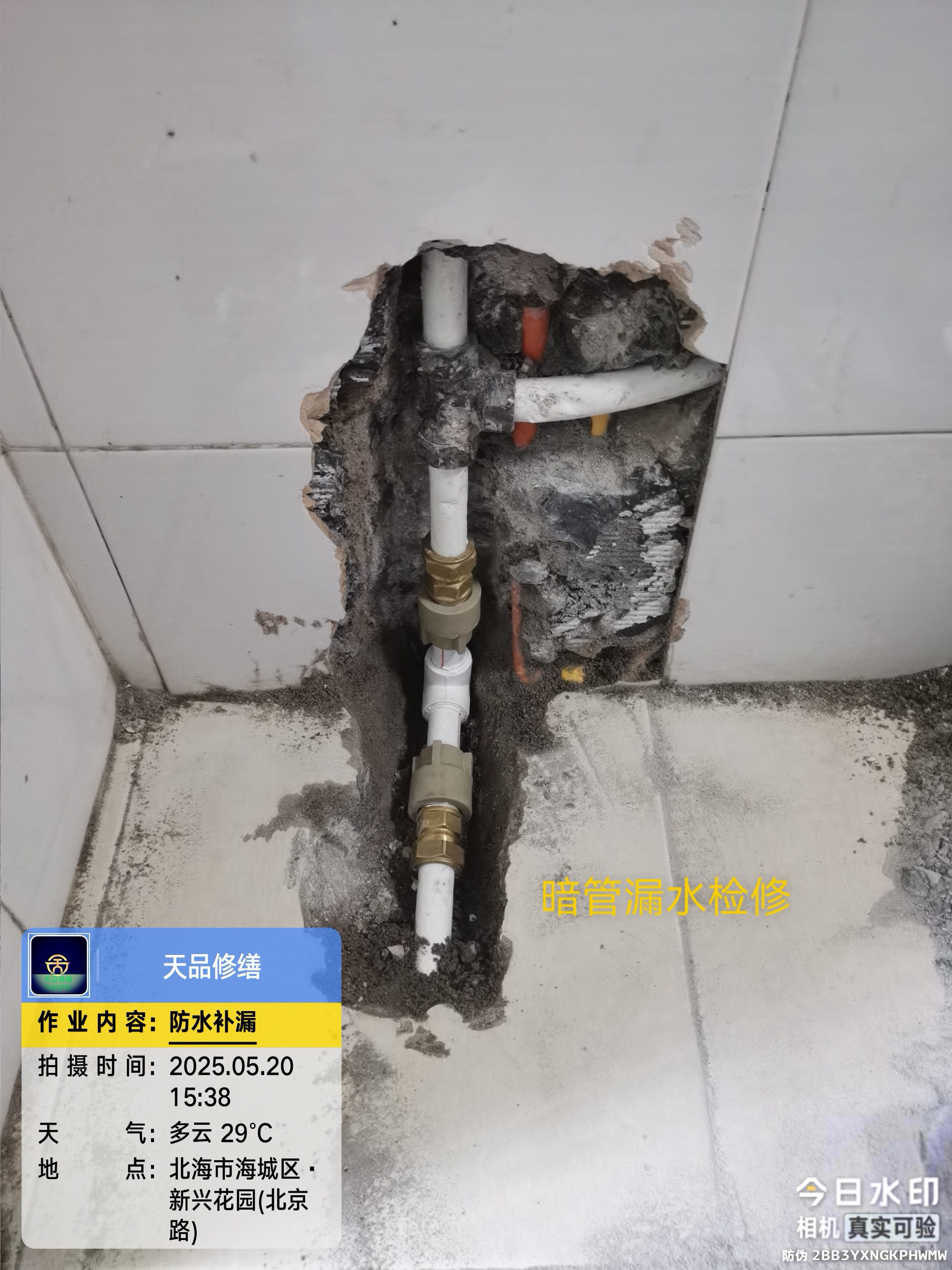 缩略图 5