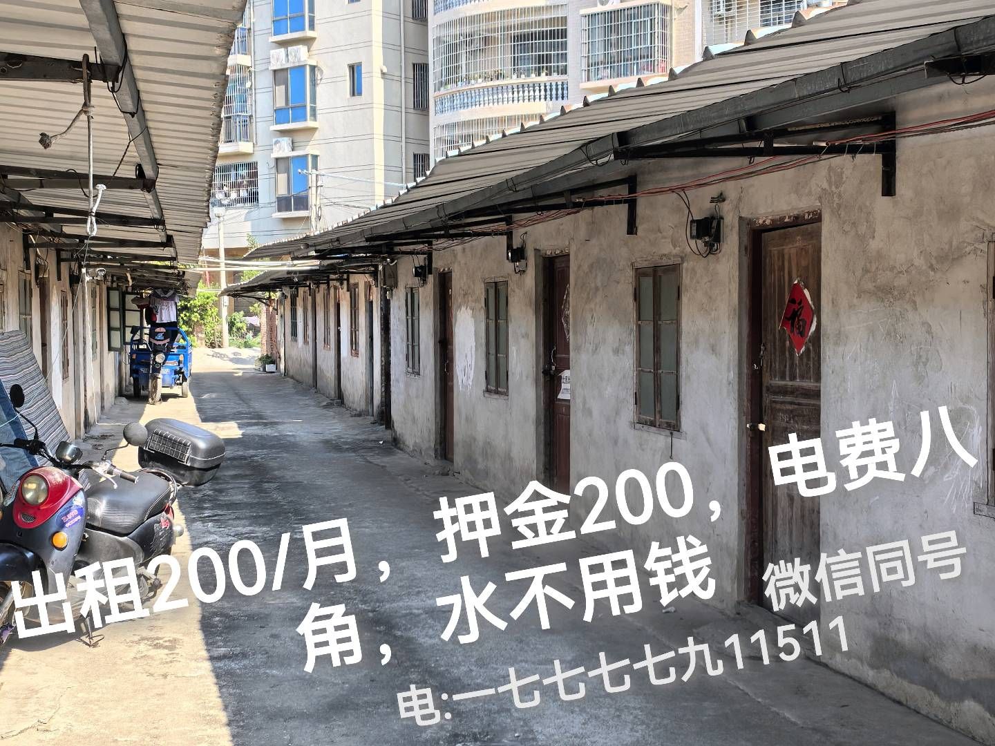 缩略图 4